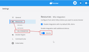 Select WSL Instance in Docker