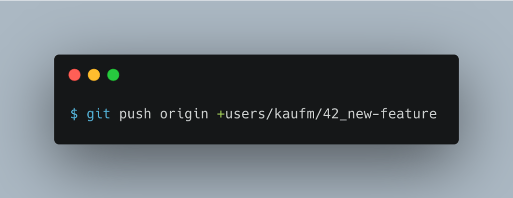 $ git push origin +users/kaufm/42_new-feature